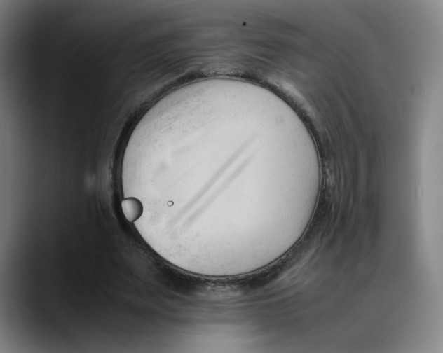 X0000089350487200707131534