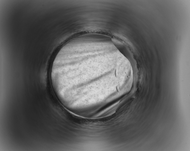 X0000089350488200707131534
