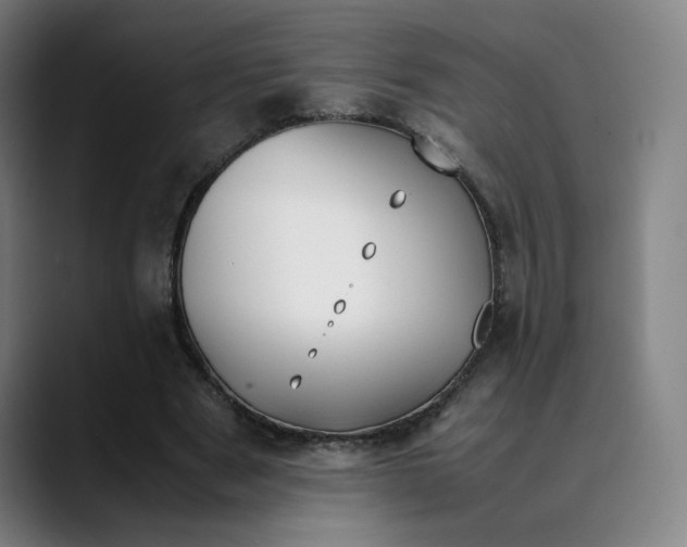 X0000089350489200707131534