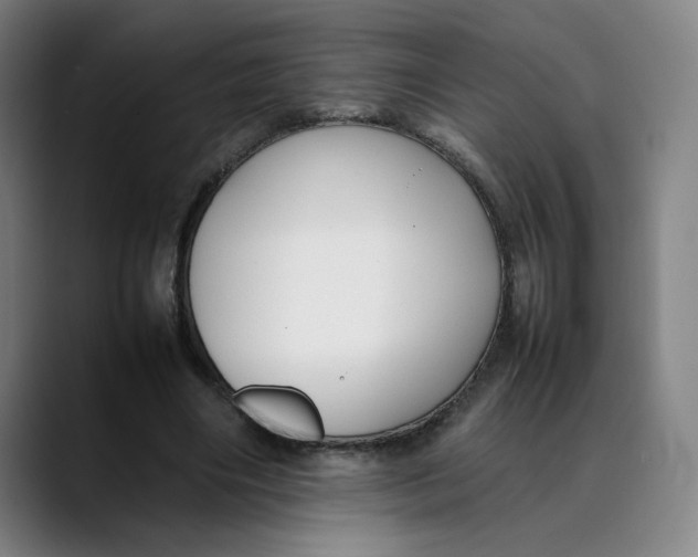 X0000089350490200707131534
