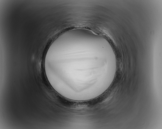 X0000089350491200707131534