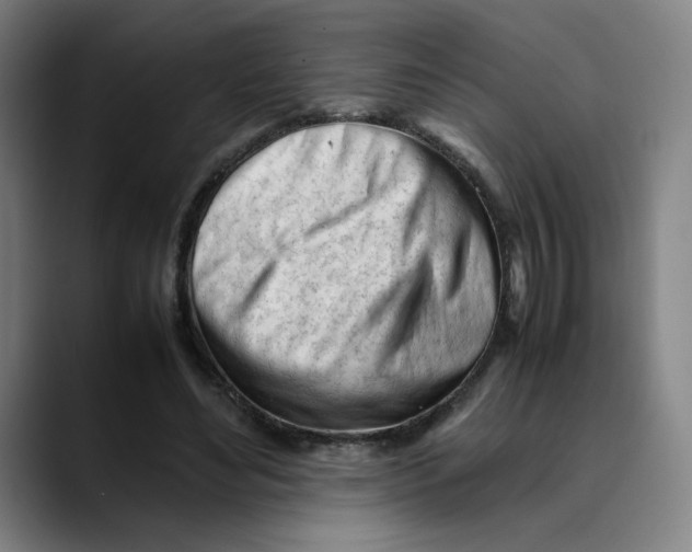 X0000089350492200707131534