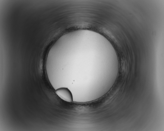 X0000089350494200707131533