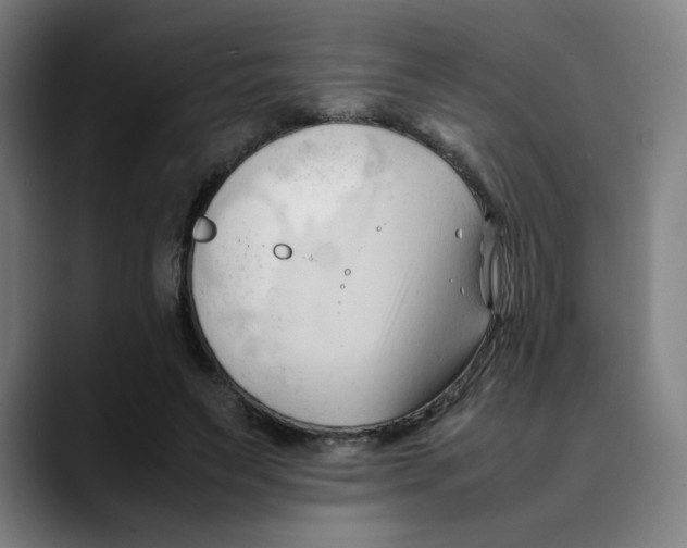X0000089350495200707131533