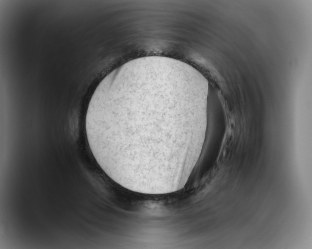 X0000089350496200707131533