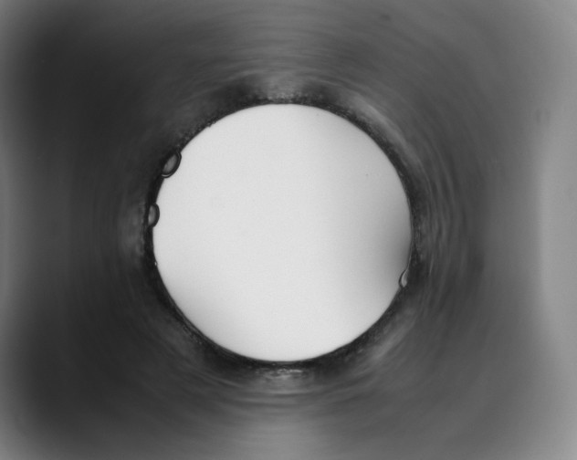 X0000089350497200707131533