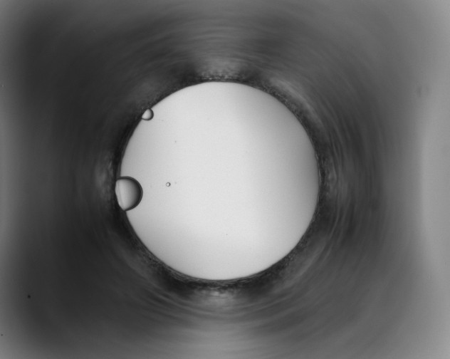 X0000089350498200707131533