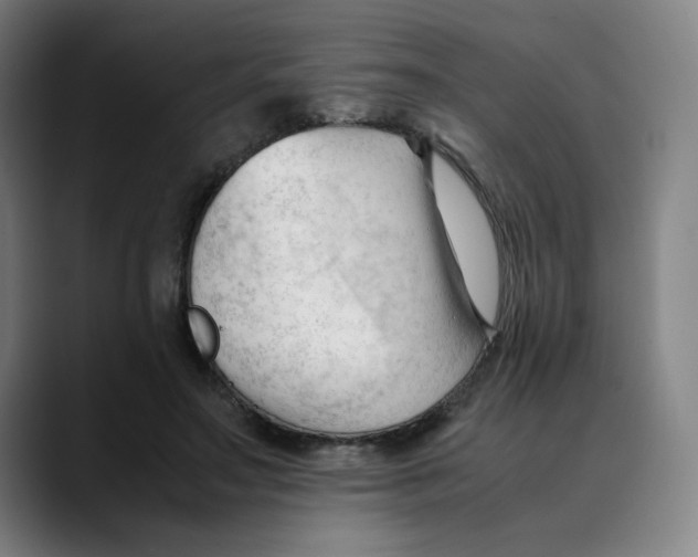 X0000089350499200707131533