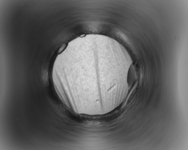 X0000089350500200707131533