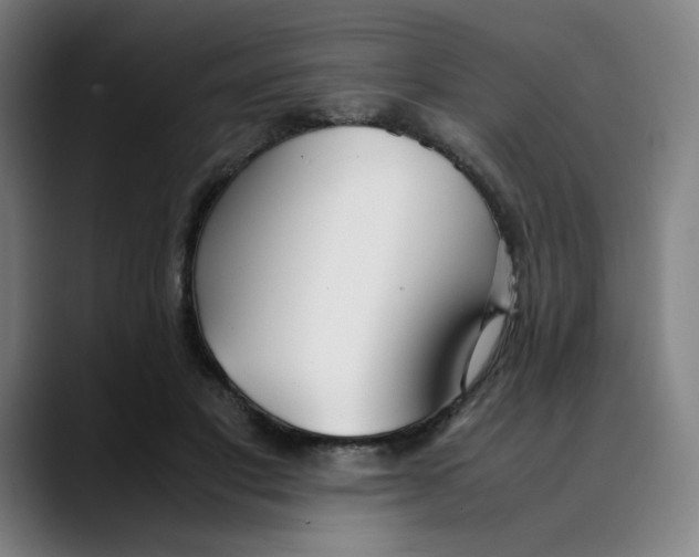X0000089350501200707131533