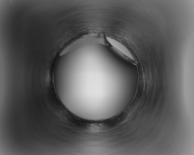X0000089350508200707131533