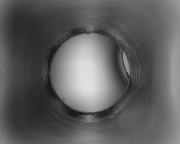 X0000089350509200707131533