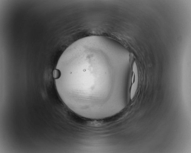 X0000089350511200707131533