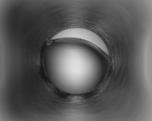 X0000089350512200707131533