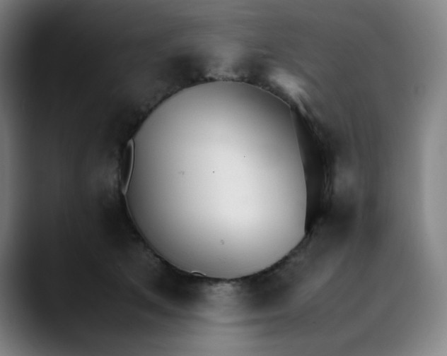 X0000089350513200707131533