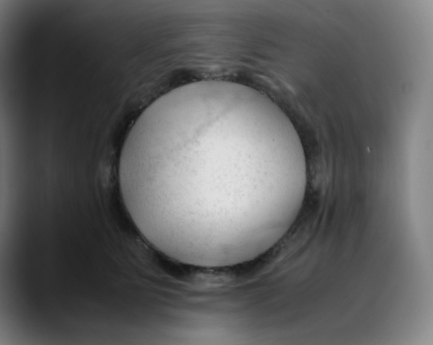 X0000089350515200707131533