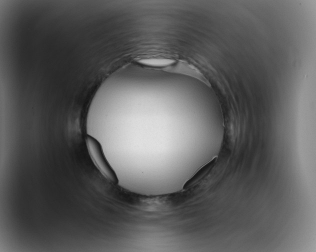 X0000089350516200707131533