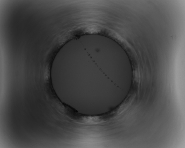 X0000089350517200707131533