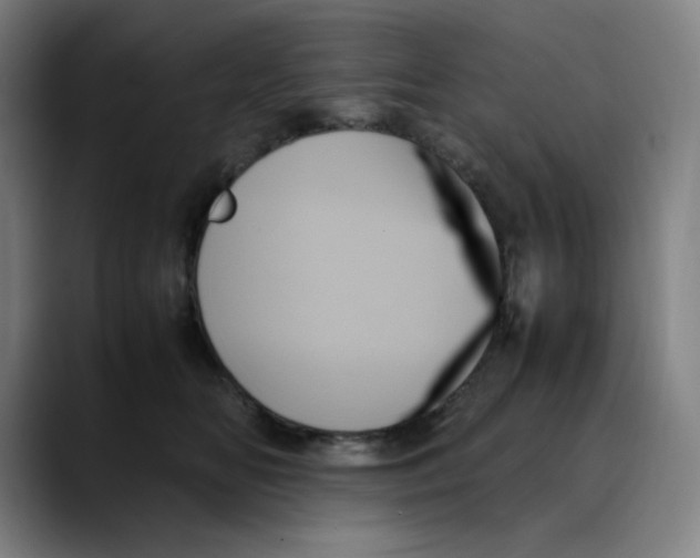 X0000089350518200707131533