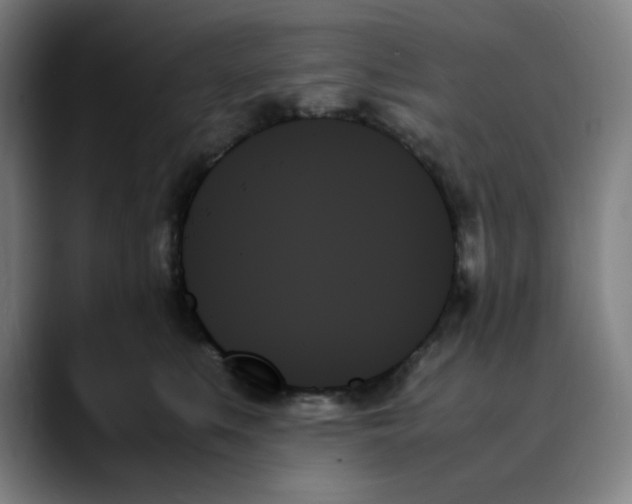 X0000089350519200707131533