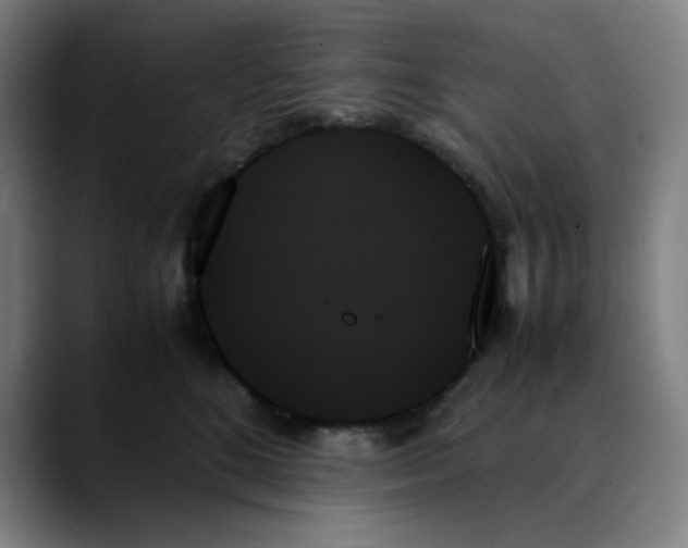 X0000089350520200707131533