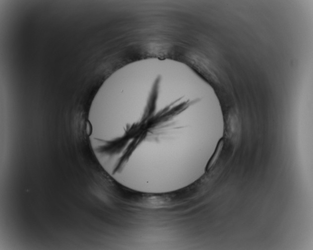 X0000089350522200707131533