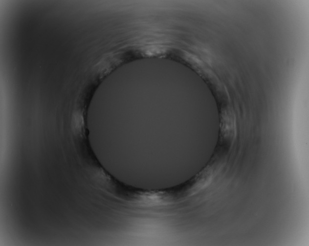 X0000089350523200707131533