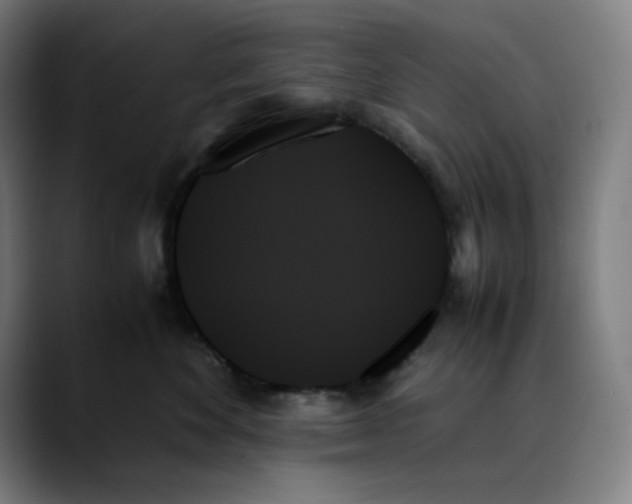 X0000089350524200707131533