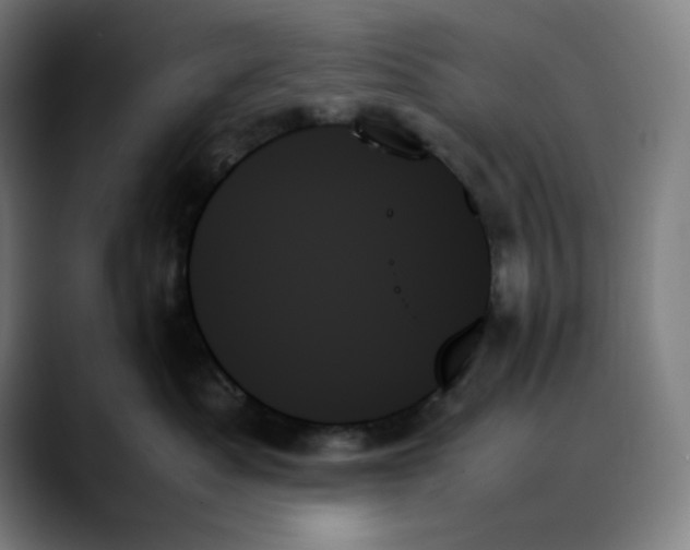 X0000089350525200707131533