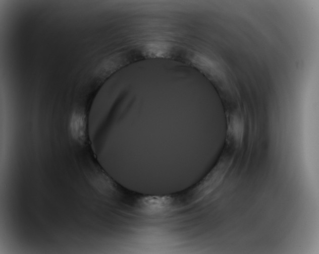 X0000089350526200707131533