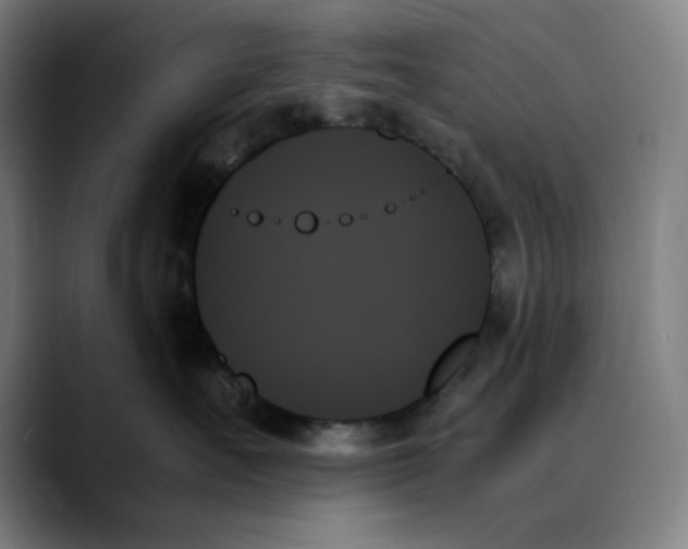 X0000089350527200707131533