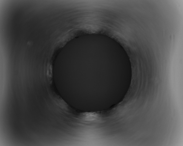 X0000089350528200707131533