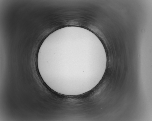 X0000089350529200707131533