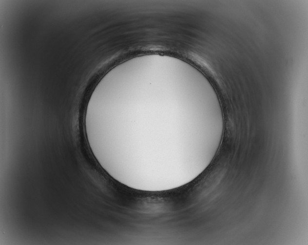 X0000089350535200707131533