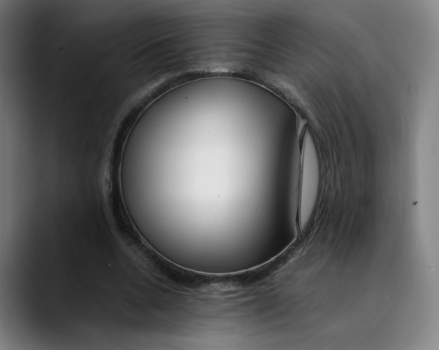 X0000089350536200707131533