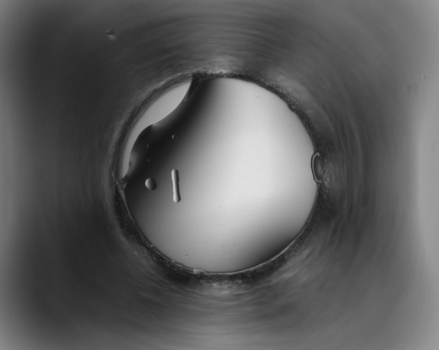 X0000089350540200707131533