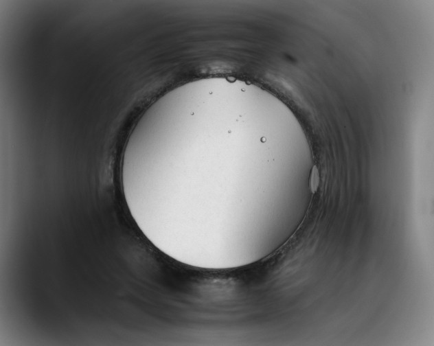 X0000089350543200707131533