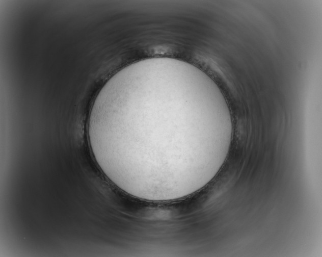 X0000089350545200707131533