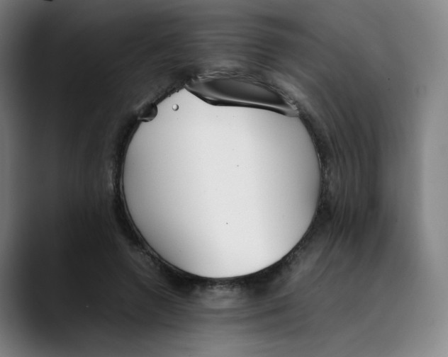 X0000089350546200707131533
