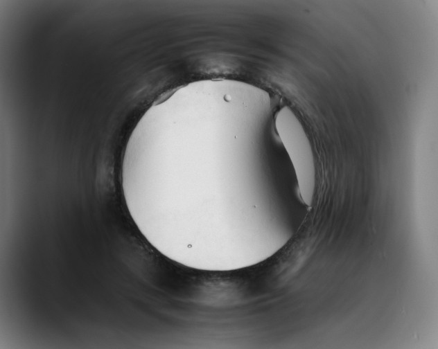 X0000089350547200707131533