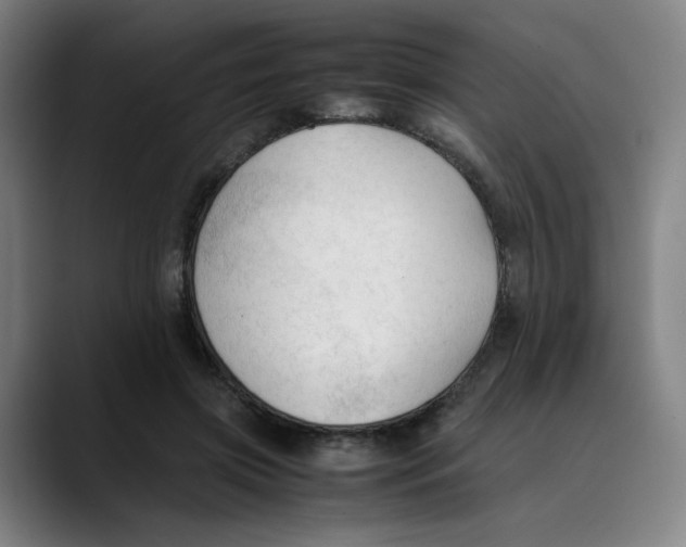 X0000089350549200707131533