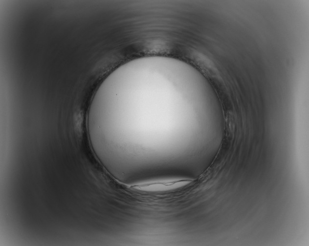 X0000089350550200707131533