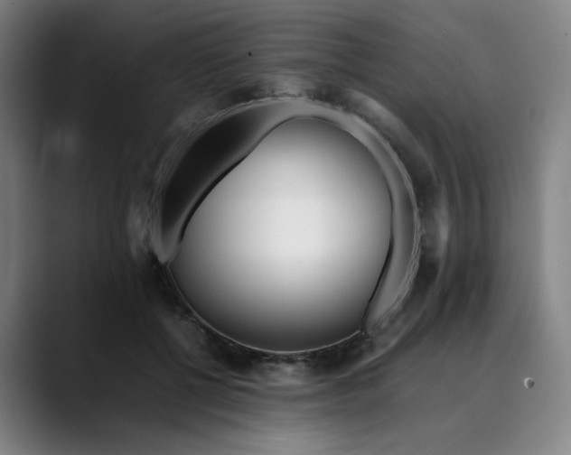 X0000089350552200707131533