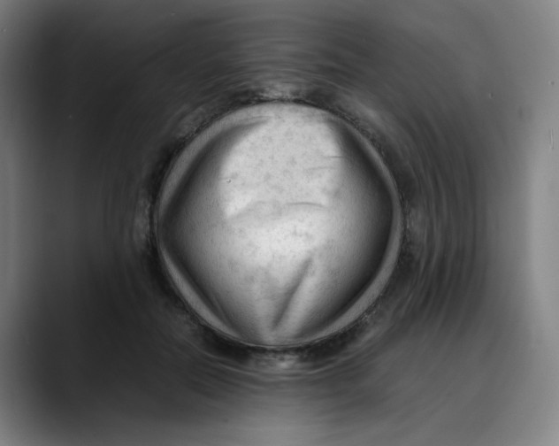 X0000089350554200707131533