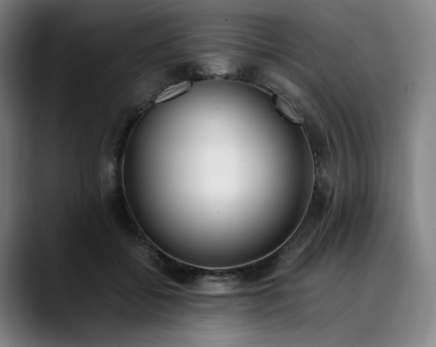 X0000089350556200707131533