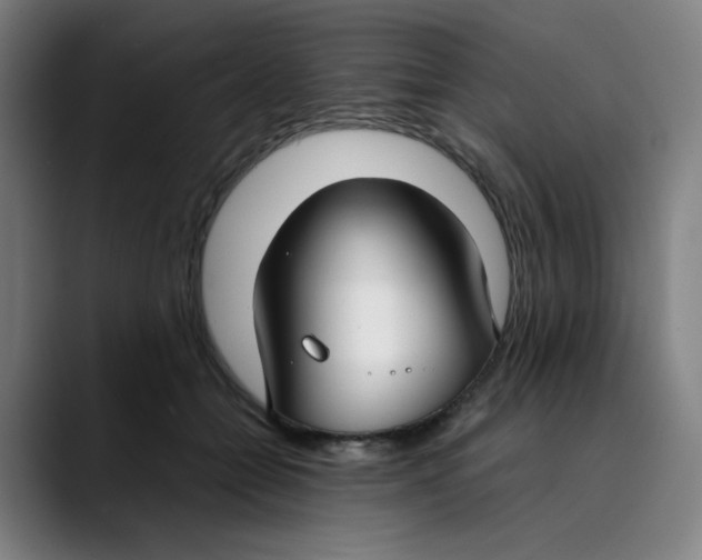X0000089350558200707131533