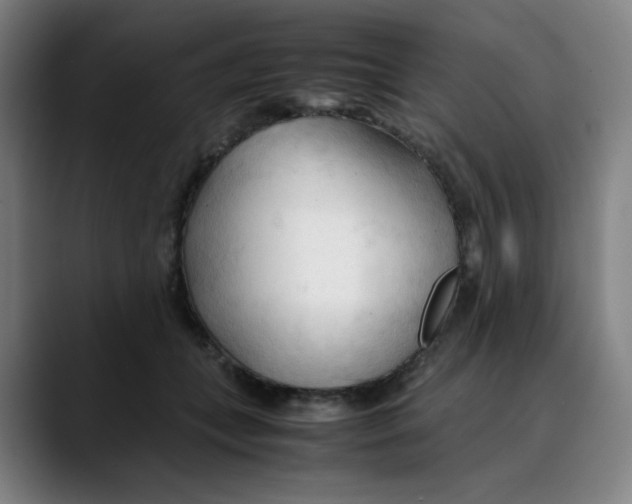 X0000089350559200707131533