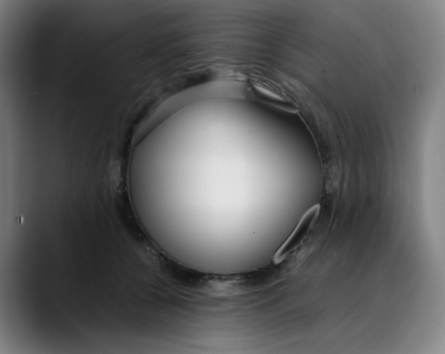 X0000089350560200707131533