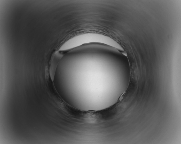 X0000089350562200707131533
