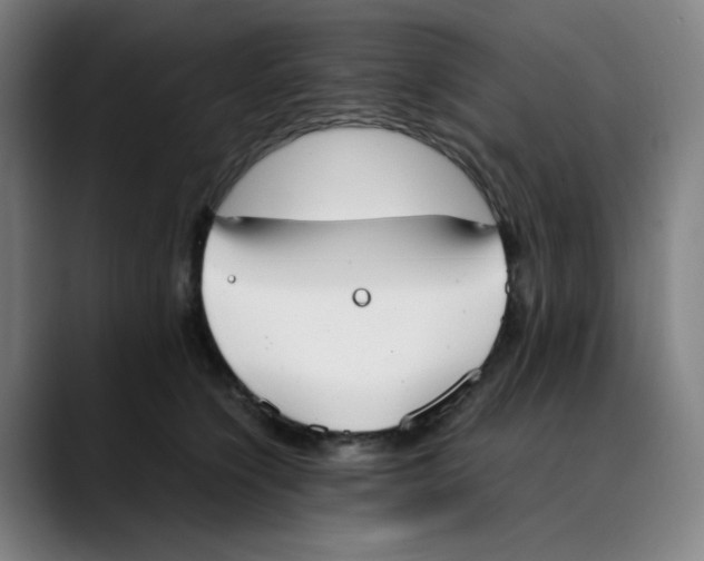 X0000089350564200707131533